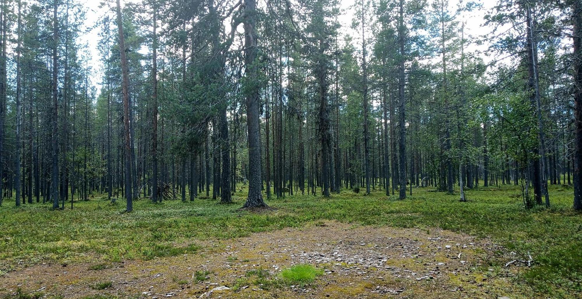 Kuukkeli Apartments Vuotso Экстерьер фото